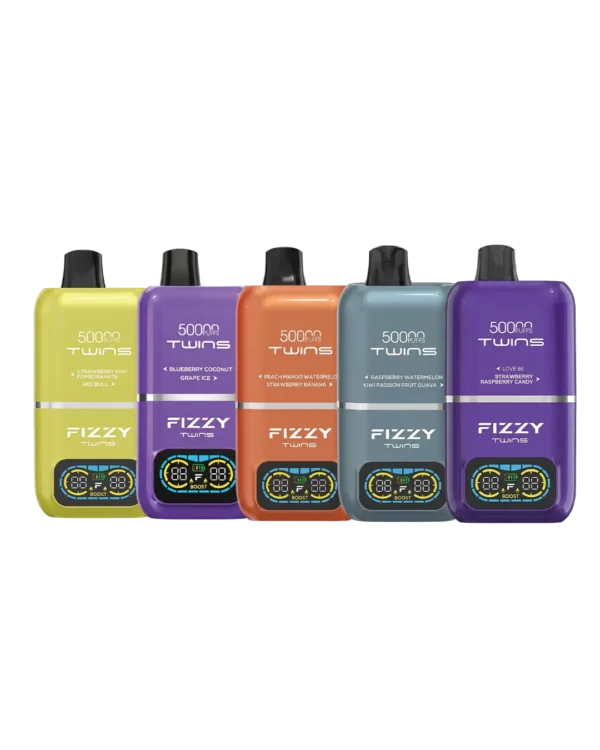 Fizzy Twins 2‑Flavors 人気TOP5 バラエティ（5本セット）