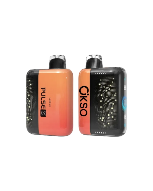 ラッシュアイス フレーバー【ニコチンベイプ（ニコパフ）5%】｜ELF BOX PLUS X